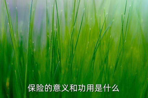 保險(xiǎn)公司不得以購(gòu)買保險(xiǎn)為目的