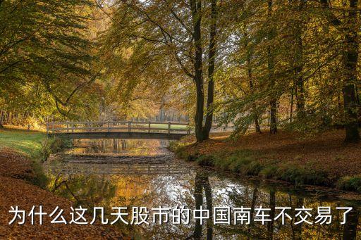 為什么這幾天股市的中國(guó)南車不交易了
