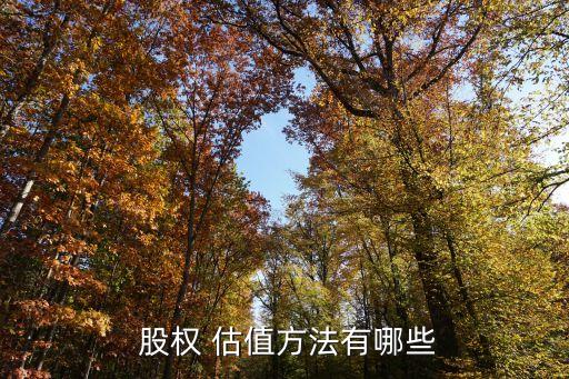  股權 估值方法有哪些
