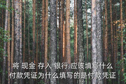 將 現(xiàn)金 存入 銀行,應該填寫什么付款憑證為什么填寫的是付款憑證