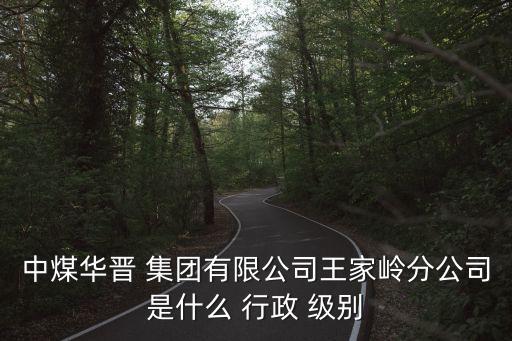 中煤華晉 集團(tuán)有限公司王家?guī)X分公司是什么 行政 級(jí)別