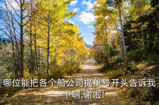 哪位能把各個(gè)船公司提單號(hào)開(kāi)頭告訴我一下啊,謝啦!