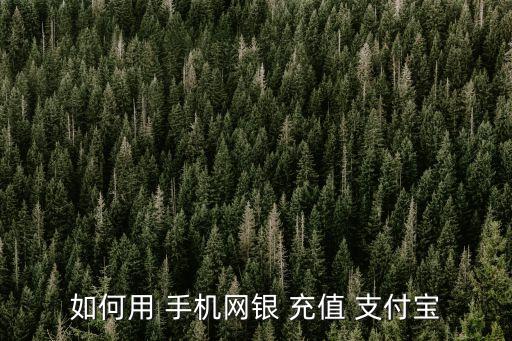 如何用 手機網(wǎng)銀 充值 支付寶