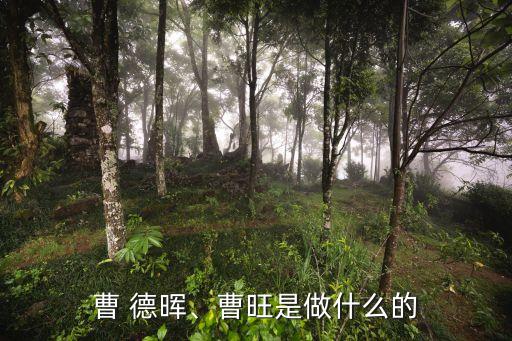曹 德暉、曹旺是做什么的