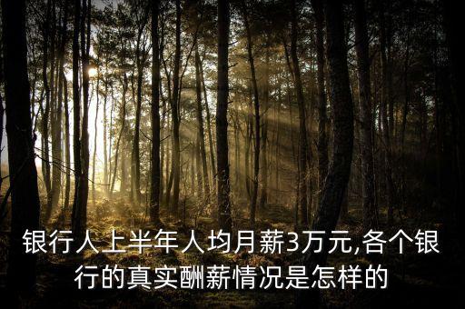 銀行人上半年人均月薪3萬元,各個(gè)銀行的真實(shí)酬薪情況是怎樣的