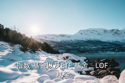 指數(shù) 基金以及ETF 基金、LOF 基金