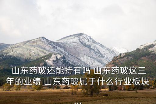  山東藥玻還能持有嗎 山東藥玻這三年的業(yè)績(jī) 山東藥玻屬于什么行業(yè)板塊...