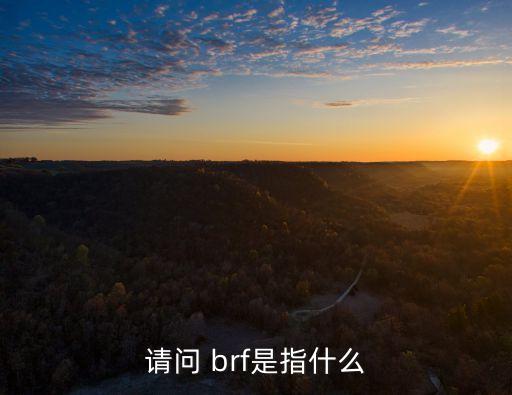 請(qǐng)問(wèn) brf是指什么