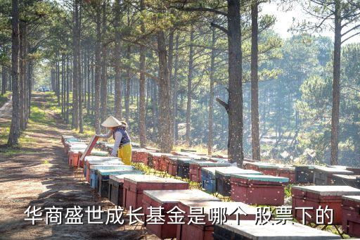 華商盛世成長基金是哪個 股票下的