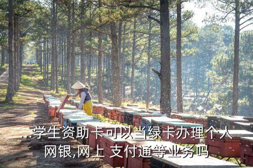...學(xué)生資助卡可以當(dāng)綠卡辦理個(gè)人網(wǎng)銀,網(wǎng)上 支付通等業(yè)務(wù)嗎