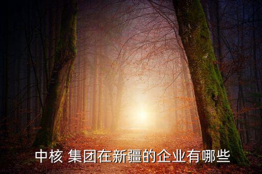 中核集團下屬單位排名,中核建設(shè)集團下屬單位
