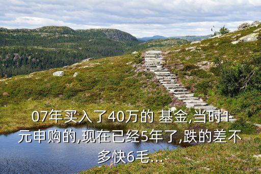 07年買入了40萬的 基金,當(dāng)時1元申購的,現(xiàn)在已經(jīng)5年了,跌的差不多快6毛...