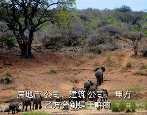  房地產(chǎn) 公司、建筑 公司、 甲方、乙方分別是干嘛的