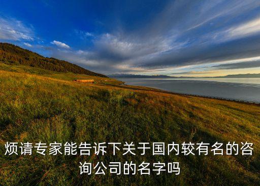 煩請專家能告訴下關(guān)于國內(nèi)較有名的咨詢公司的名字嗎