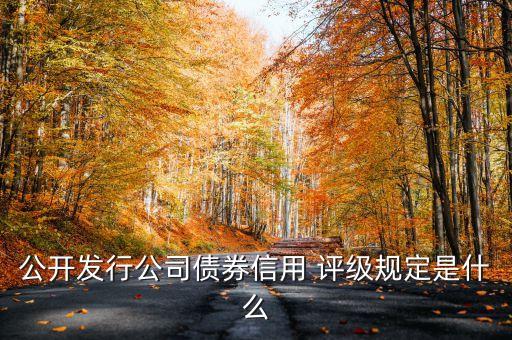 公開(kāi)發(fā)行公司債券信用 評(píng)級(jí)規(guī)定是什么