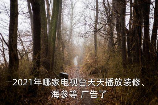 2021年哪家電視臺(tái)天天播放裝修、海參等 廣告了