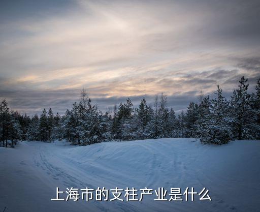 上?？苿?chuàng)中心22條全文,上海全球科創(chuàng)中心