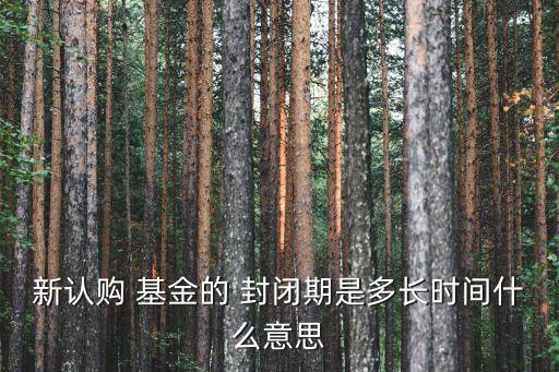 新認(rèn)購 基金的 封閉期是多長時(shí)間什么意思