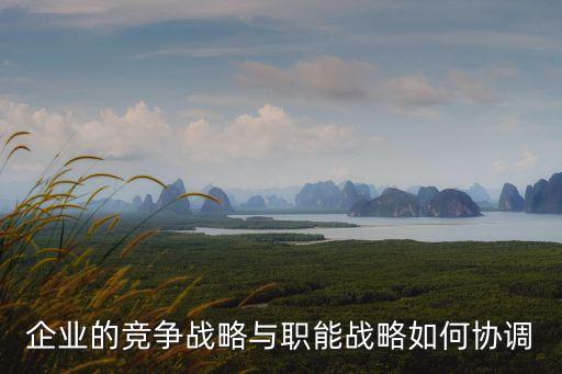 企業(yè)的競爭戰(zhàn)略與職能戰(zhàn)略如何協(xié)調