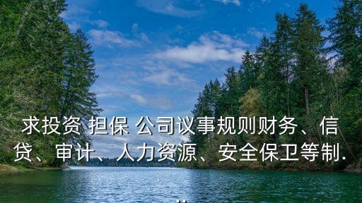 求投資 擔(dān)保 公司議事規(guī)則財務(wù)、信貸、審計、人力資源、安全保衛(wèi)等制...