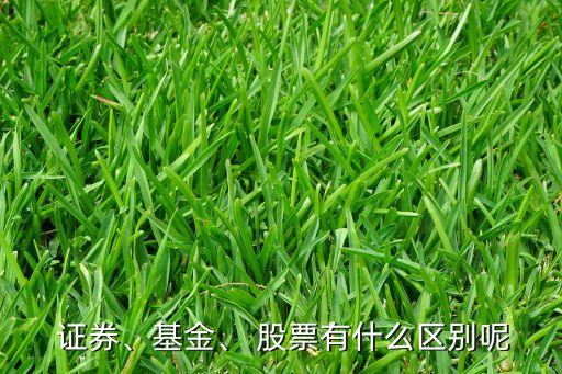 證券、基金、 股票有什么區(qū)別呢