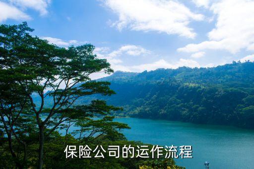 保險(xiǎn)公司的運(yùn)作流程