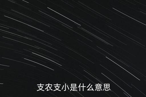  支農支小是什么意思