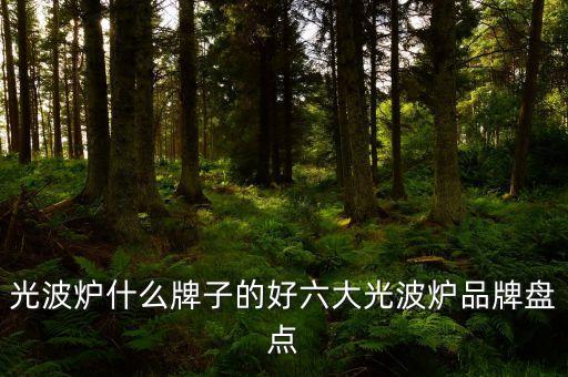 美的集團(tuán)年銷(xiāo)售額