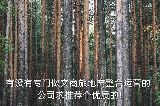 有沒有專門做文商旅地產(chǎn)整合運營的 公司求推薦個優(yōu)質(zhì)的!