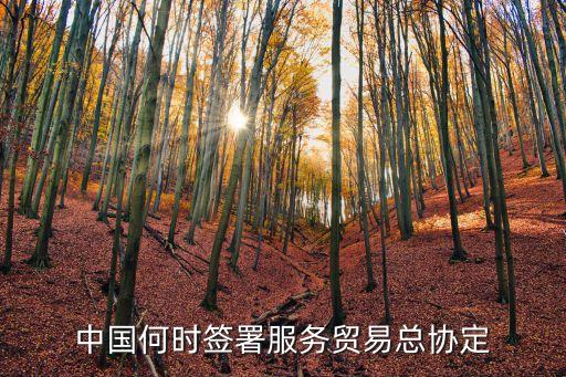 中國何時簽署服務(wù)貿(mào)易總協(xié)定