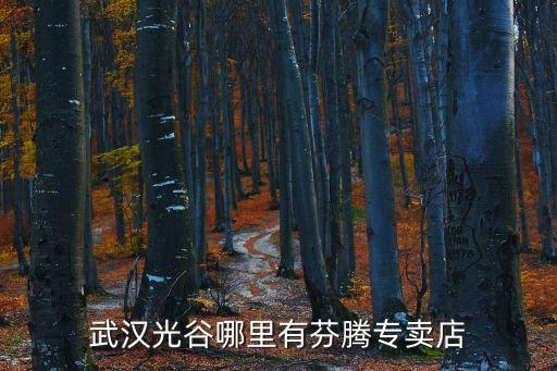 武漢光谷哪里有芬騰專賣店