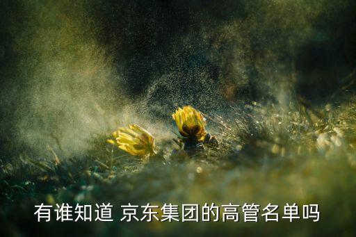 有誰知道 京東集團的高管名單嗎