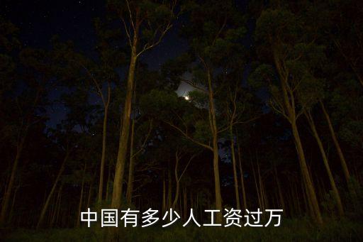 中國(guó)有多少人工資過(guò)萬(wàn)