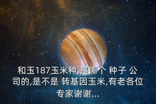 和玉187玉米種,是哪個(gè) 種子 公司的,是不是 轉(zhuǎn)基因玉米,有老各位專家謝謝...