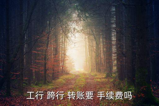 工行 跨行 轉賬要 手續(xù)費嗎