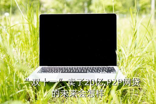 “ 雙十一”賣(mài)了20億,P2P網(wǎng)貸的未來(lái)會(huì)怎樣
