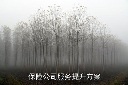保險(xiǎn)公司經(jīng)營(yíng)建議