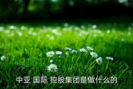 中亞 國(guó)際 控股集團(tuán)是做什么的