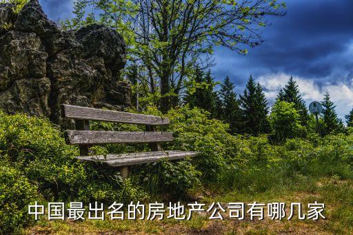 中國(guó)最出名的房地產(chǎn)公司有哪幾家
