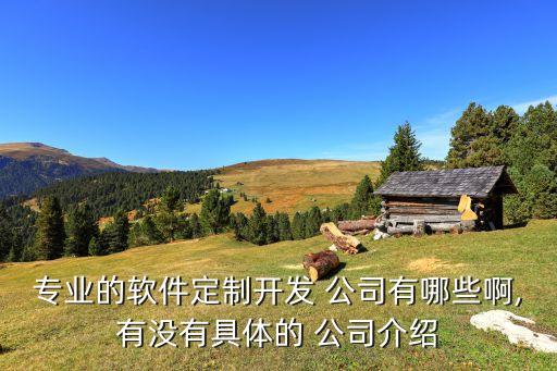 專業(yè)的軟件定制開(kāi)發(fā) 公司有哪些啊,有沒(méi)有具體的 公司介紹