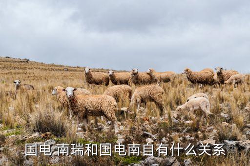 國電 南瑞和國電南自有什么關系