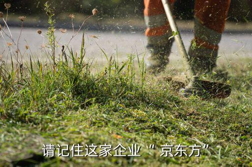 請(qǐng)記住這家企業(yè)“ 京東方”