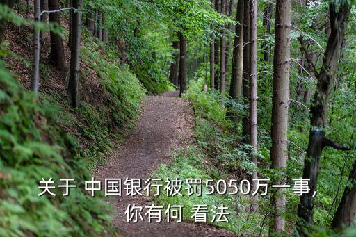 關于 中國銀行被罰5050萬一事,你有何 看法