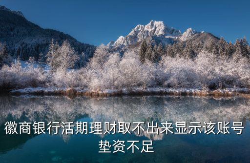 徽商銀行活期理財(cái)取不出來(lái)顯示該賬號(hào) 墊資不足