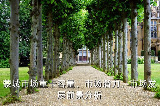蒙城市場重卡容量、市場潛力、市場發(fā)展前景分析