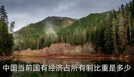 中國當前國有經(jīng)濟占所有制比重是多少