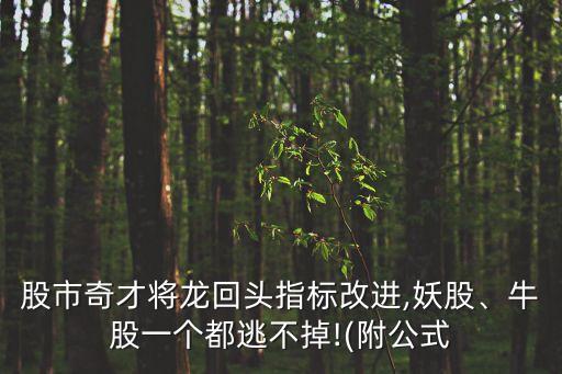 股市奇才將龍回頭指標(biāo)改進(jìn),妖股、牛股一個(gè)都逃不掉!(附公式