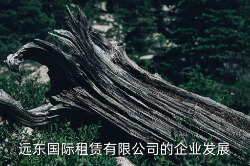 中國資產證券化之路,中國有資產證券化嗎