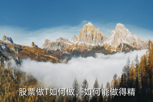  股票做T如何做、如何能做得精