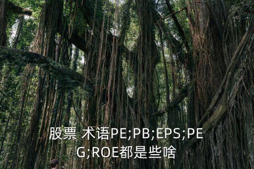 股票 術語PE;PB;EPS;PEG;ROE都是些啥